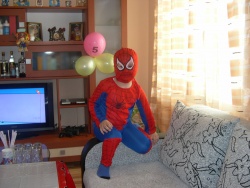 spaidar