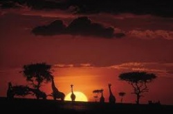 Kenya
