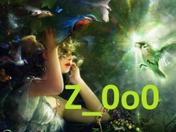 z_0o0