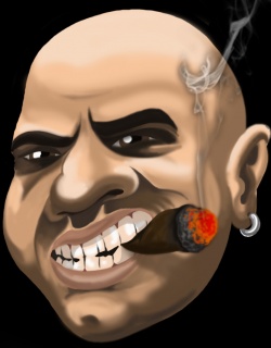 hoolsa
