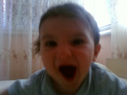 Mustafa86
