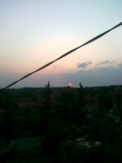 bejo