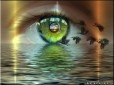 Aneliq_88