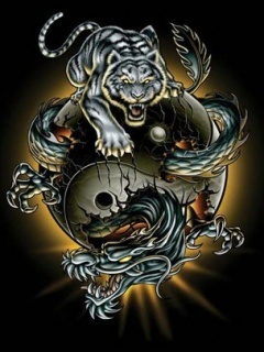 the_big_cat
