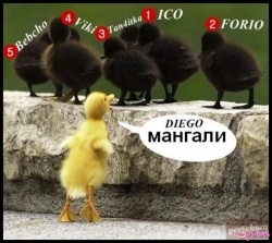 belo_belisimo