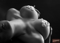 ludata_ww