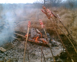 lacho2001