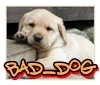 bad_d0g