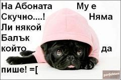 bam_bam