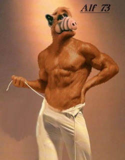 alf73