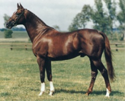 naiedn2202