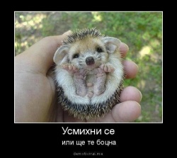 zwer4eto