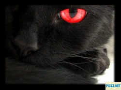gabsity666