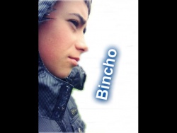 bincho