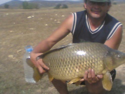 nikiiii