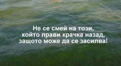 sofich