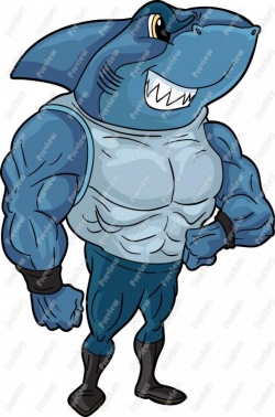 sharky927