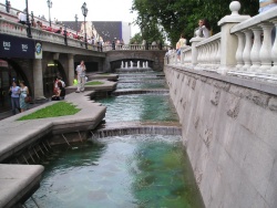 vezni