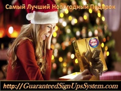 netbiz