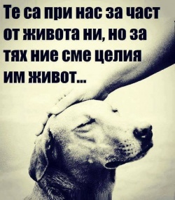 _poison