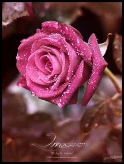 geri_678
