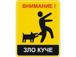 zlo_kuche