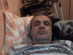 mstef
