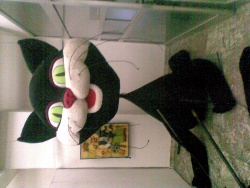vankuu