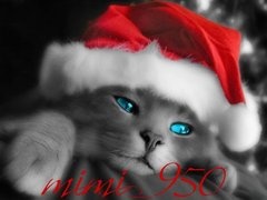 bebolina89
