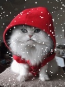 parki