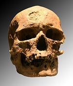 kromanyon
