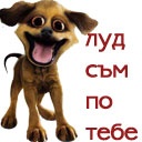 gery_o