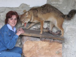 Elena_47_Varna
