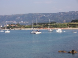 kralicata