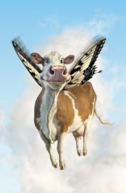 izkluchenieto