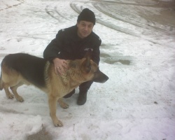 dododon