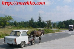 dobrin4o