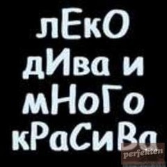 stefity