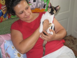 albizziika
