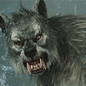 vikokiller