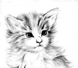 boby1