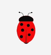 bug