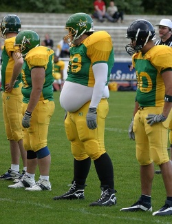 stego28
