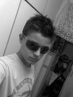 silvestar_1995_