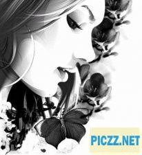 dichi