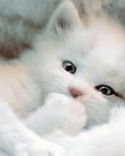 babyy