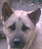 karaman_sf