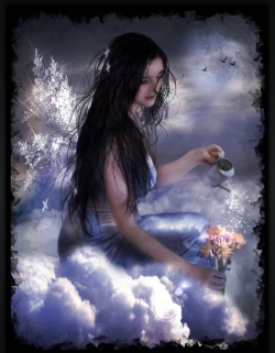 ladyplevel